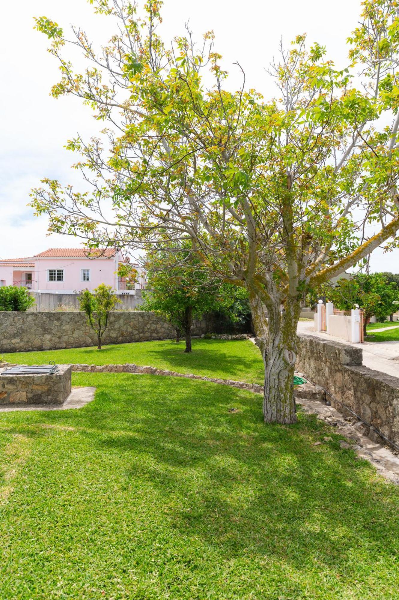 ארגוסטולי Vasilopoulos Residences - Apartments Ioni & Neso מראה חיצוני תמונה